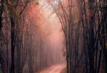 开云体育下载-英国网球队鏖战澳大利亚网球队，克耶高斯高光表现惊艳赛场