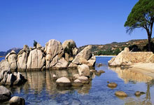 -数据裂痕下的王朝黄昏：西班牙奥运爆冷出局全解析