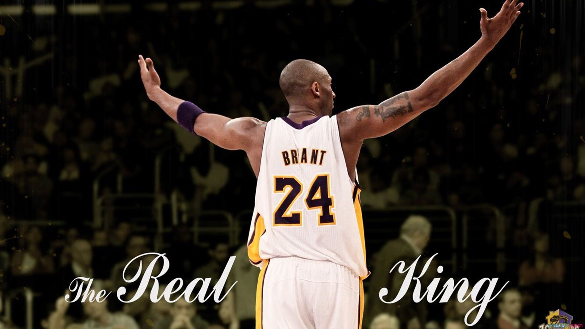 米切尔冠军级表现主宰决胜局，浙江队力克活塞展现唯一性魅力